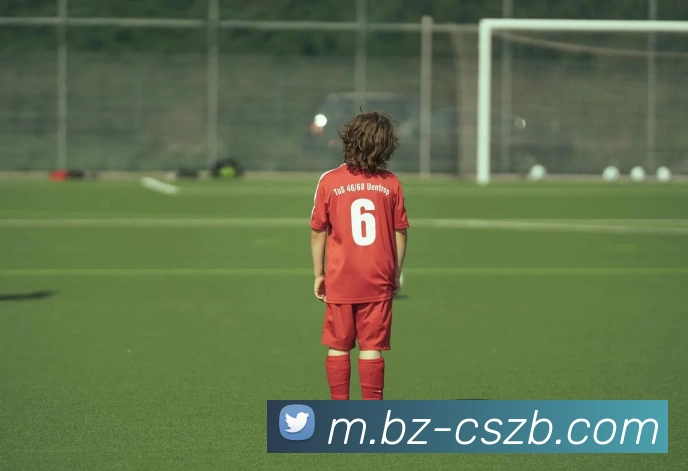 彩神争霸服务体系